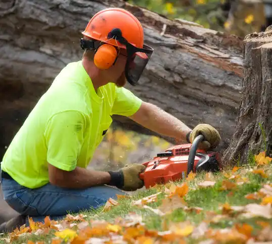 tree services Plattsmouth